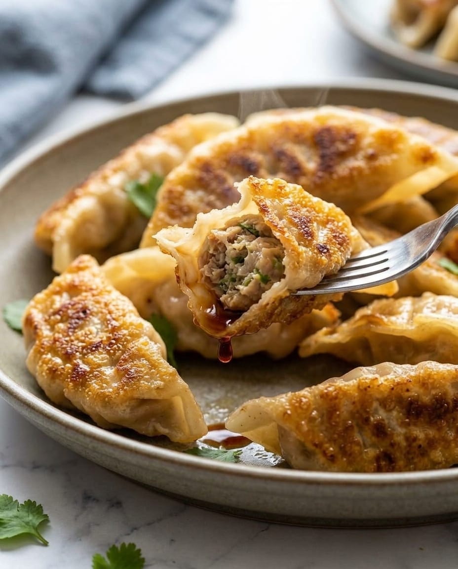 Gros plan d’un gyoza croustillant ouvert sur sa farce, une goutte de sauce soja au bout